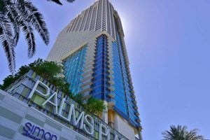 Palms Search By Condo